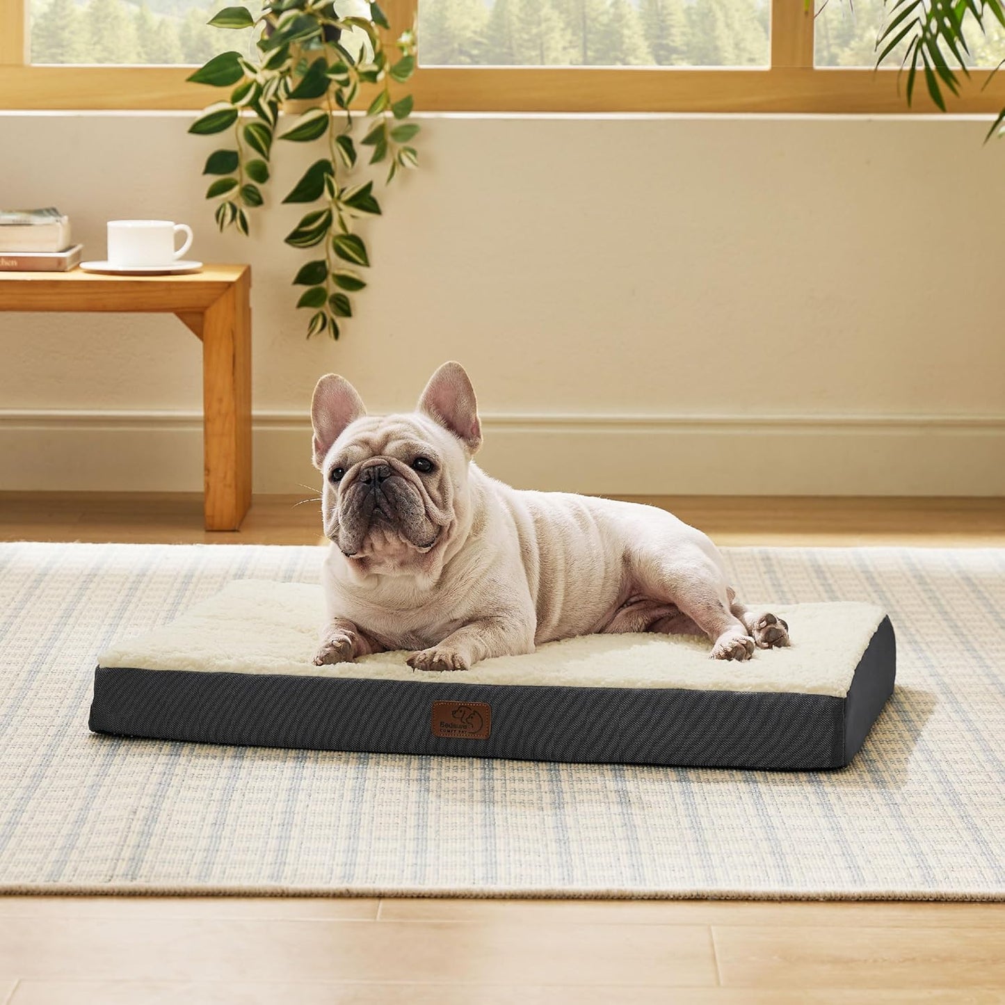 Premium Orthopedic Dog Bed for Medium Breeds - Waterproof, Removable Cover with Egg Crate Foam for Ultimate Comfort and Support
