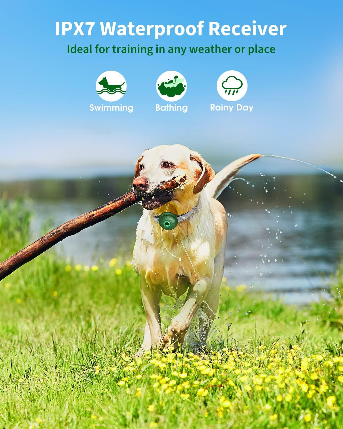 Advanced Rechargeable Dog Training Collar with Remote Control - 2600FT Range, Beep, Vibration, Static Shock, and Safety Lock for All Dog Sizes
