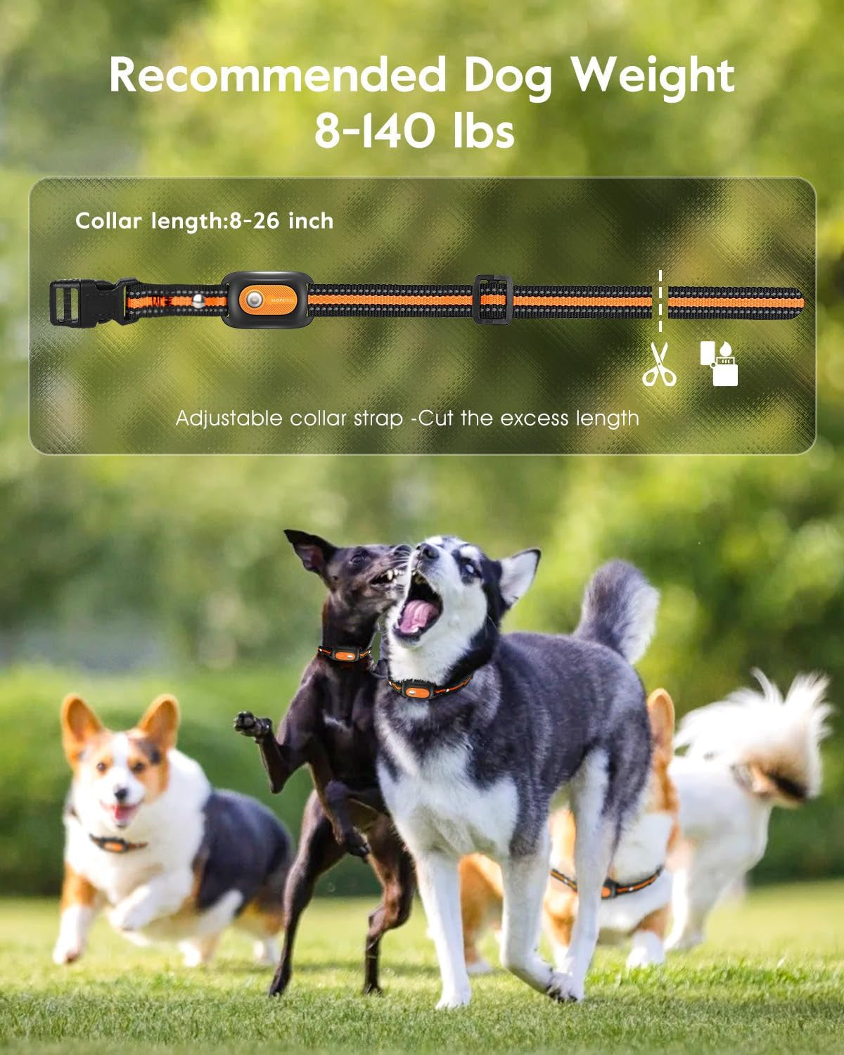 Advanced Professional Dog Training Collar with 4200Ft Remote Range, IPX8 Waterproof E-Collar Featuring Beep, Vibration, Shock, Flash Light, and No Shock Mode for All Dog Breeds - Orange