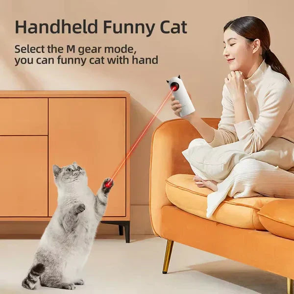 cat playing with LED laser toy