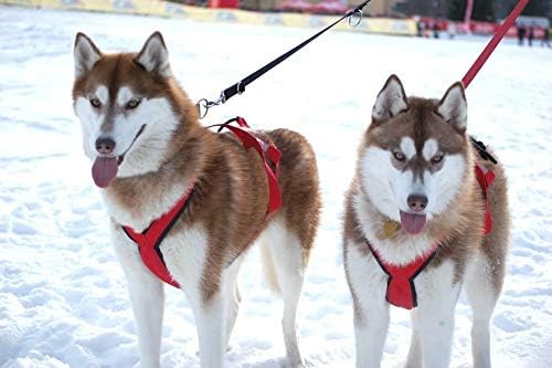 Neewa Pro Sled Dog Harness - Medium Size in Pink for Optimal Comfort and Performance