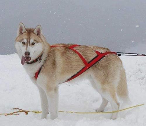 Neewa Pro Sled Dog Harness - Medium Size in Pink for Optimal Comfort and Performance