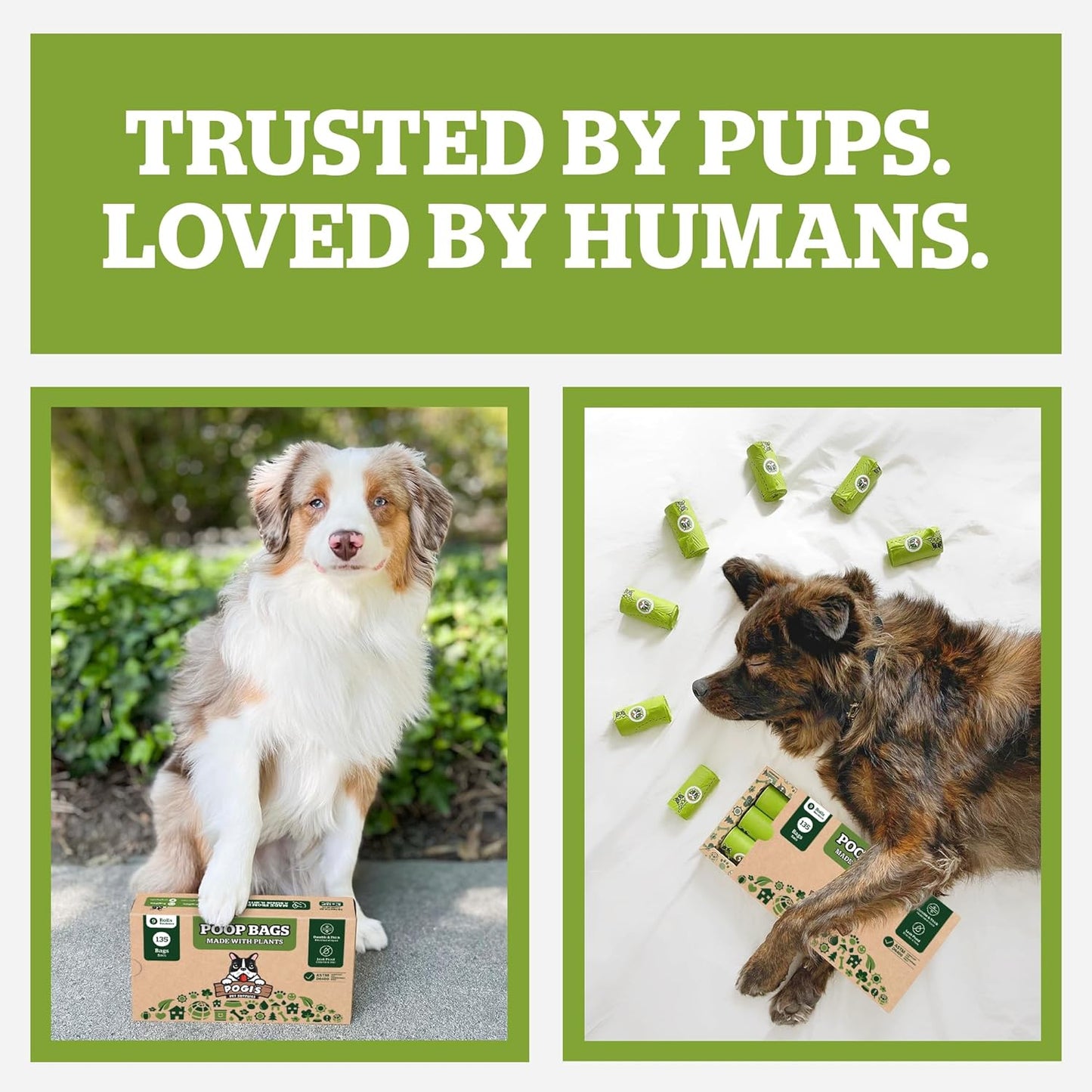 Pogi's Eco-Friendly Extra-Large Compostable Dog Waste Bags – Durable, Leak-Proof, Plant-Based – 135 Count for Sustainable Pet Waste Management