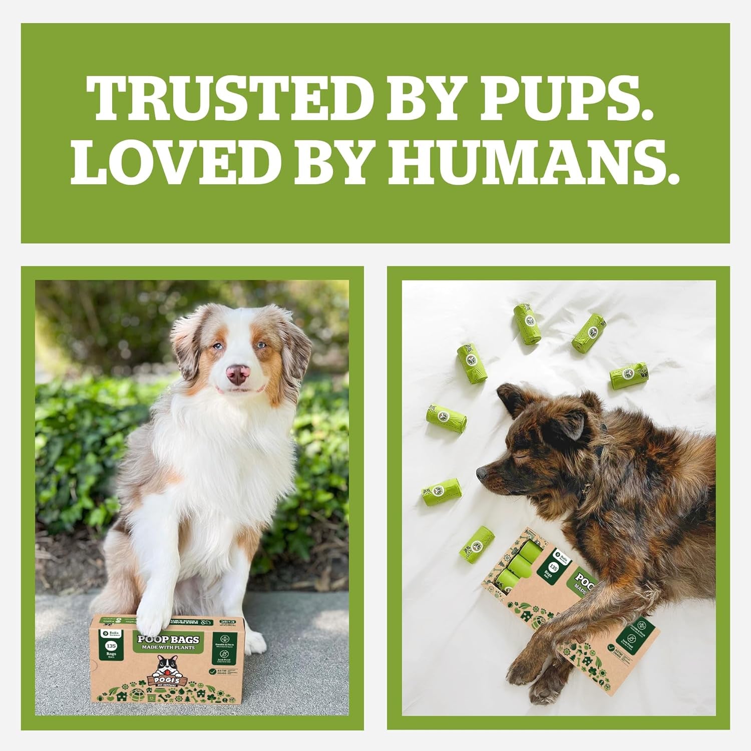 Pogi's Eco-Friendly Extra-Large Compostable Dog Waste Bags – Durable, Leak-Proof, Plant-Based – 135 Count for Sustainable Pet Waste Management