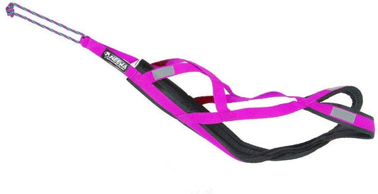 Neewa Pro Sled Dog Harness - Medium Size in Pink for Optimal Comfort and Performance