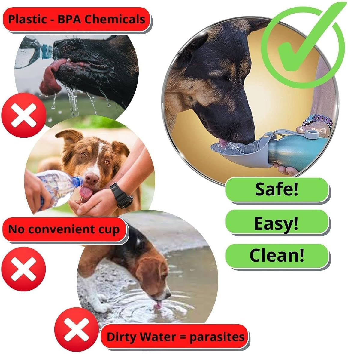 Premium Stainless Steel Portable Dog Water Bottle - 20 OZ Leak-Proof Design for Outdoor Adventures and Travel, BPA-Free