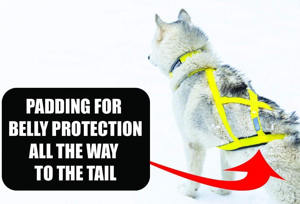 Neewa Pro Sled Dog Harness - Medium Size in Pink for Optimal Comfort and Performance