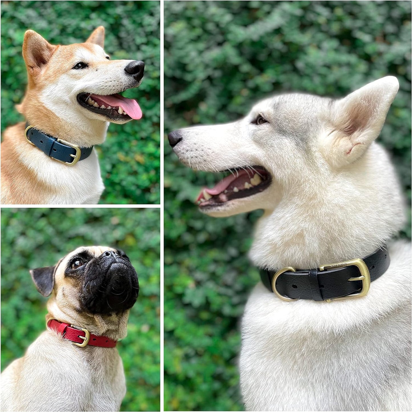 Premium Heavy-Duty Dog Collar | 10X Stronger than Leather | 100% Waterproof and Odor-Proof | Durable Rust-Proof All-Metal Hardware