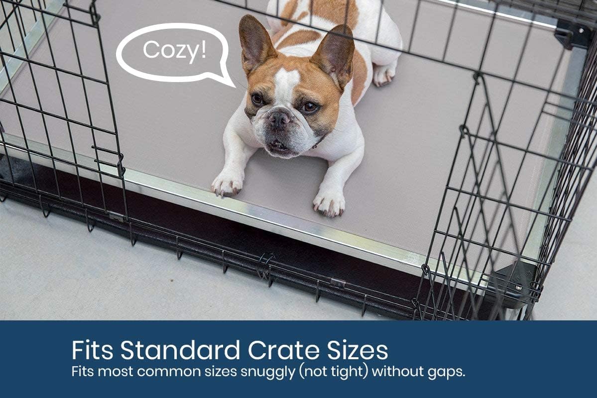Indestructible Chew Proof Elevated Dog Bed - Designed for Aggressive Chewers, Pre-Assembled with Durable Ripstop Fabric, Large Size in Blue Quartz