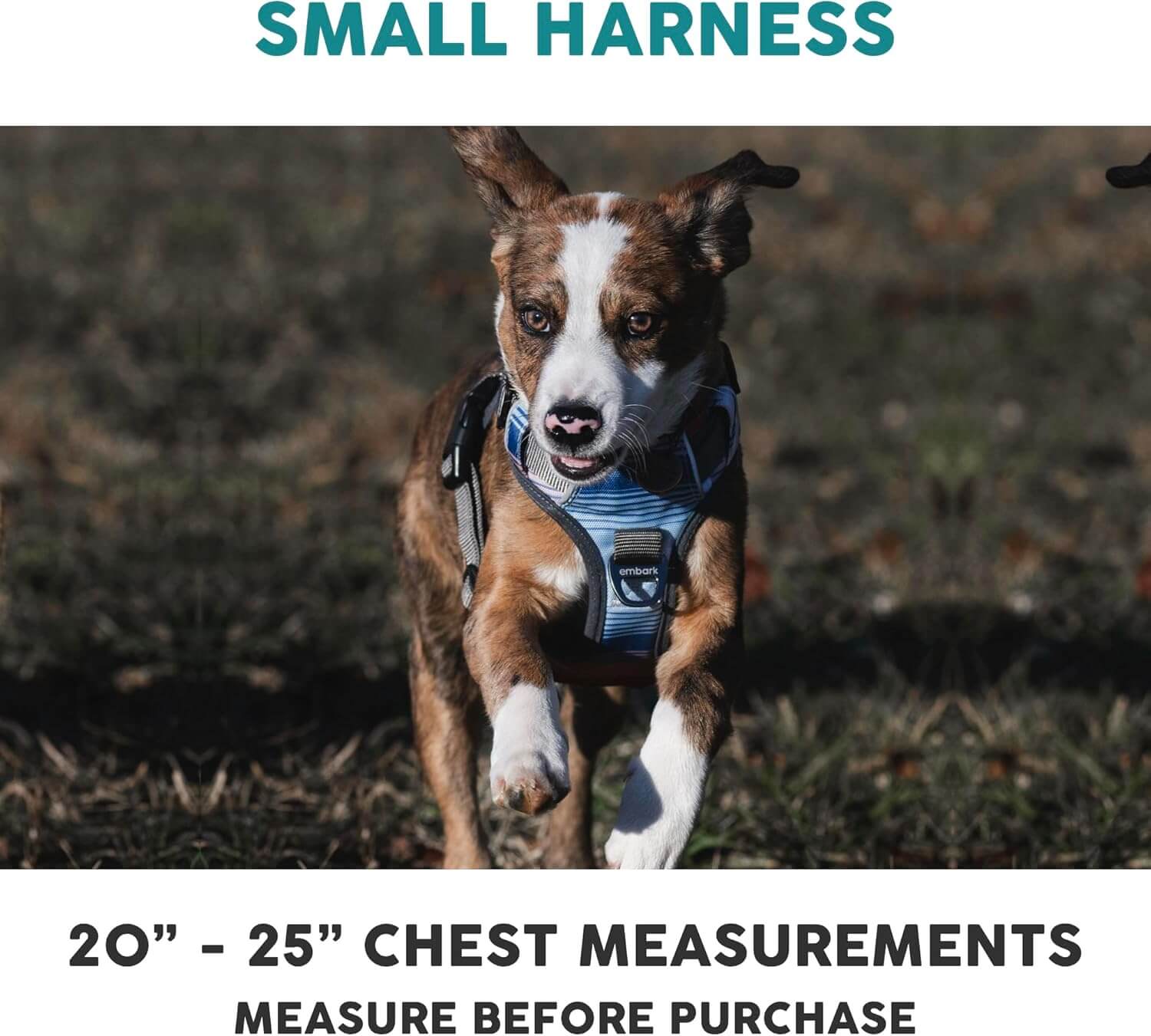 Embark Adventure Reflective No-Pull Dog Harness for Small Dogs - Military-Grade Nylon with Front Clip and Gel-Lined Handle