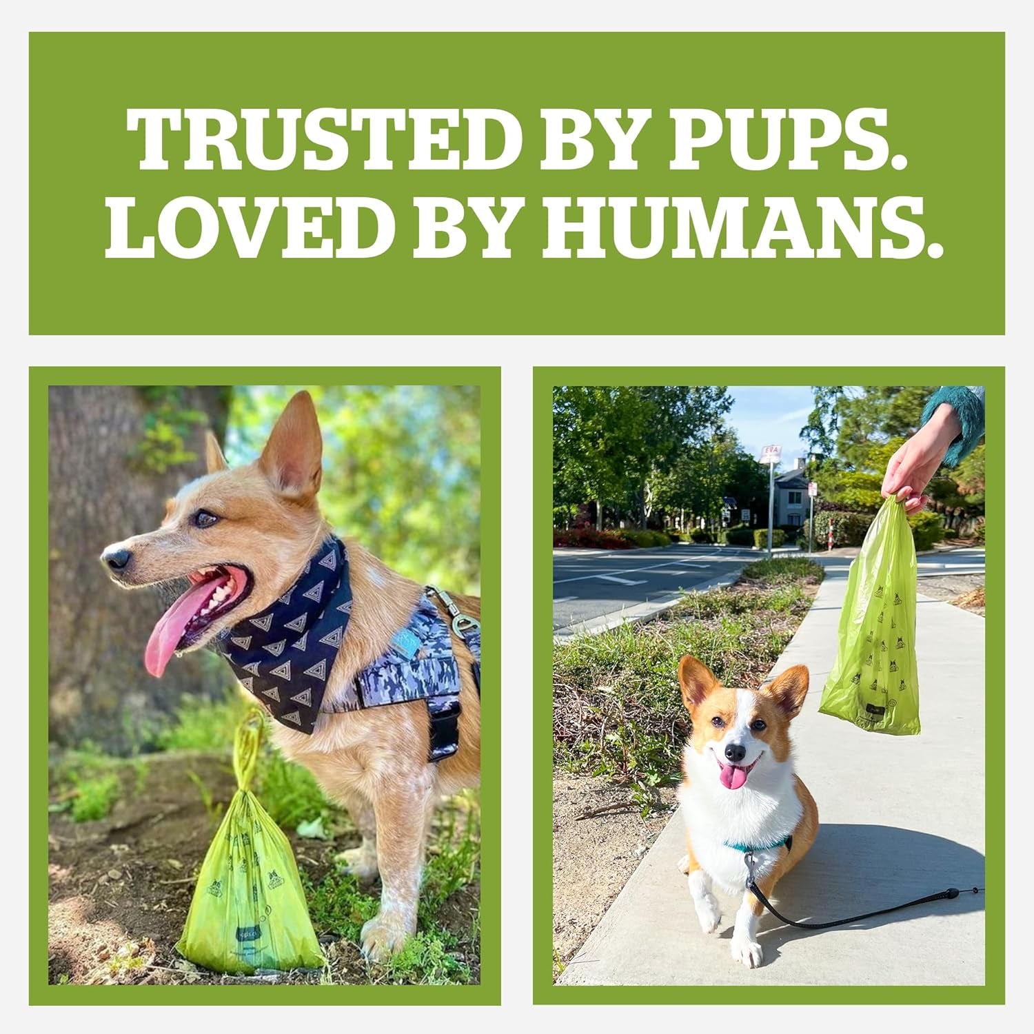 Pogi's Eco-Friendly Compostable Dog Waste Bags with Convenient Tie Handles – Leak-Proof, Extra-Large, Plant-Based (120 Count, Single Roll)