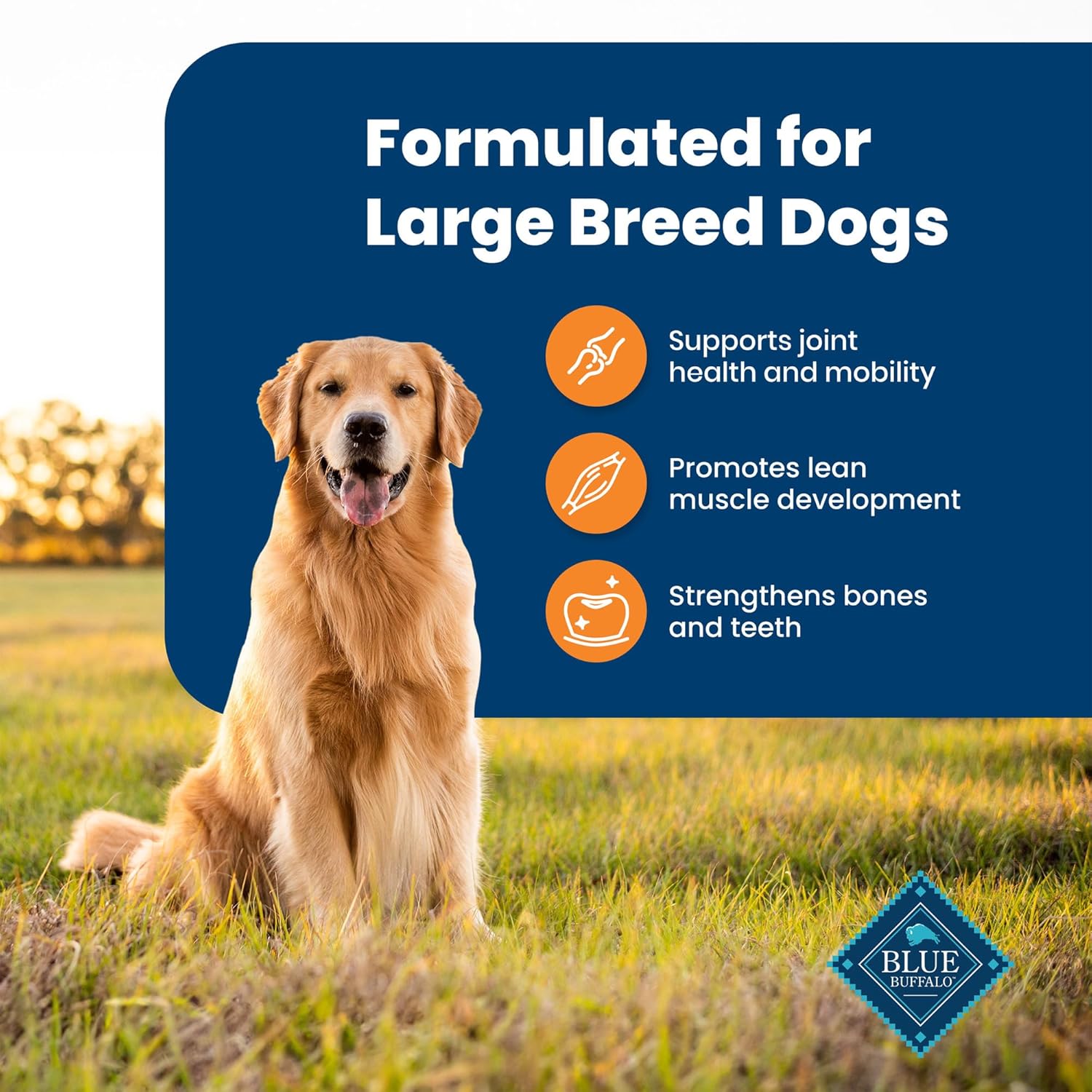 Premium Life Protection Formula for Large Breed Adult Dogs - Chicken & Brown Rice Dry Food, 30 lb Bag - Supports Joint Health and Lean Muscle Development with Natural Ingredients