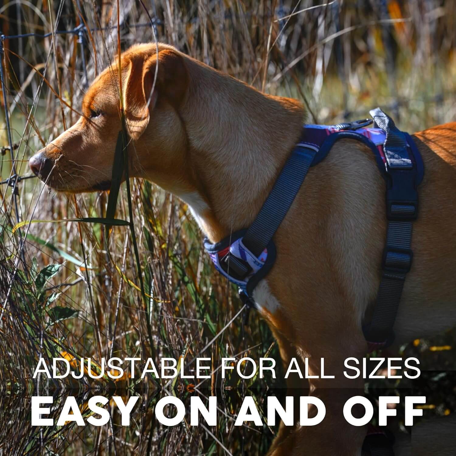 Embark Adventure Reflective No-Pull Dog Harness for Small Dogs - Military-Grade Nylon with Front Clip and Gel-Lined Handle