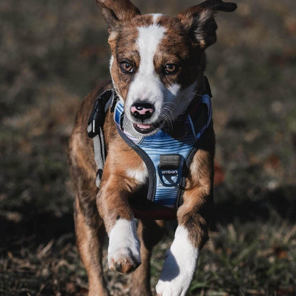 Embark Adventure Reflective No-Pull Dog Harness for Small Dogs - Military-Grade Nylon with Front Clip and Gel-Lined Handle