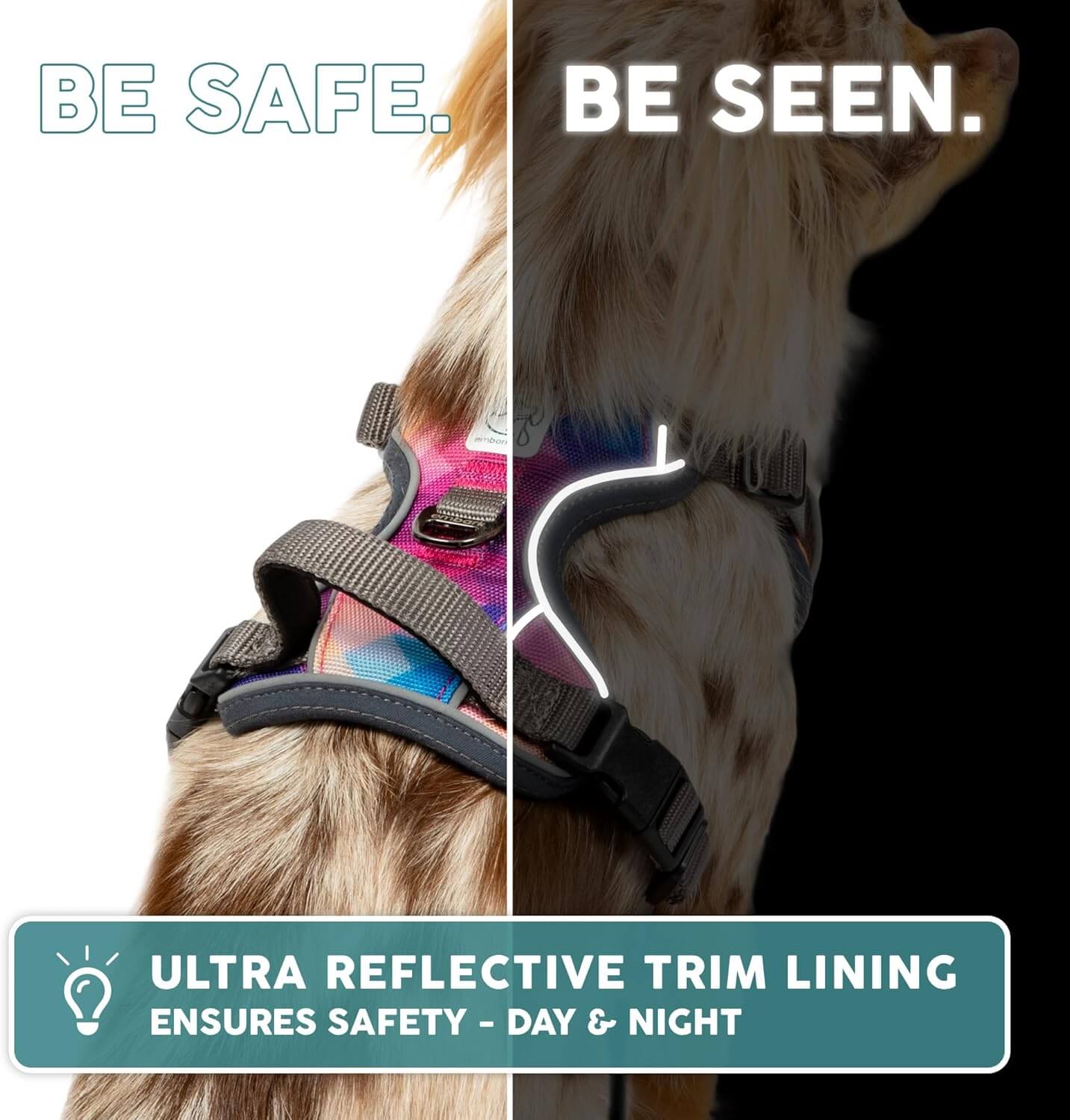 Embark Adventure Reflective No-Pull Dog Harness for Small Dogs - Military-Grade Nylon with Front Clip and Gel-Lined Handle