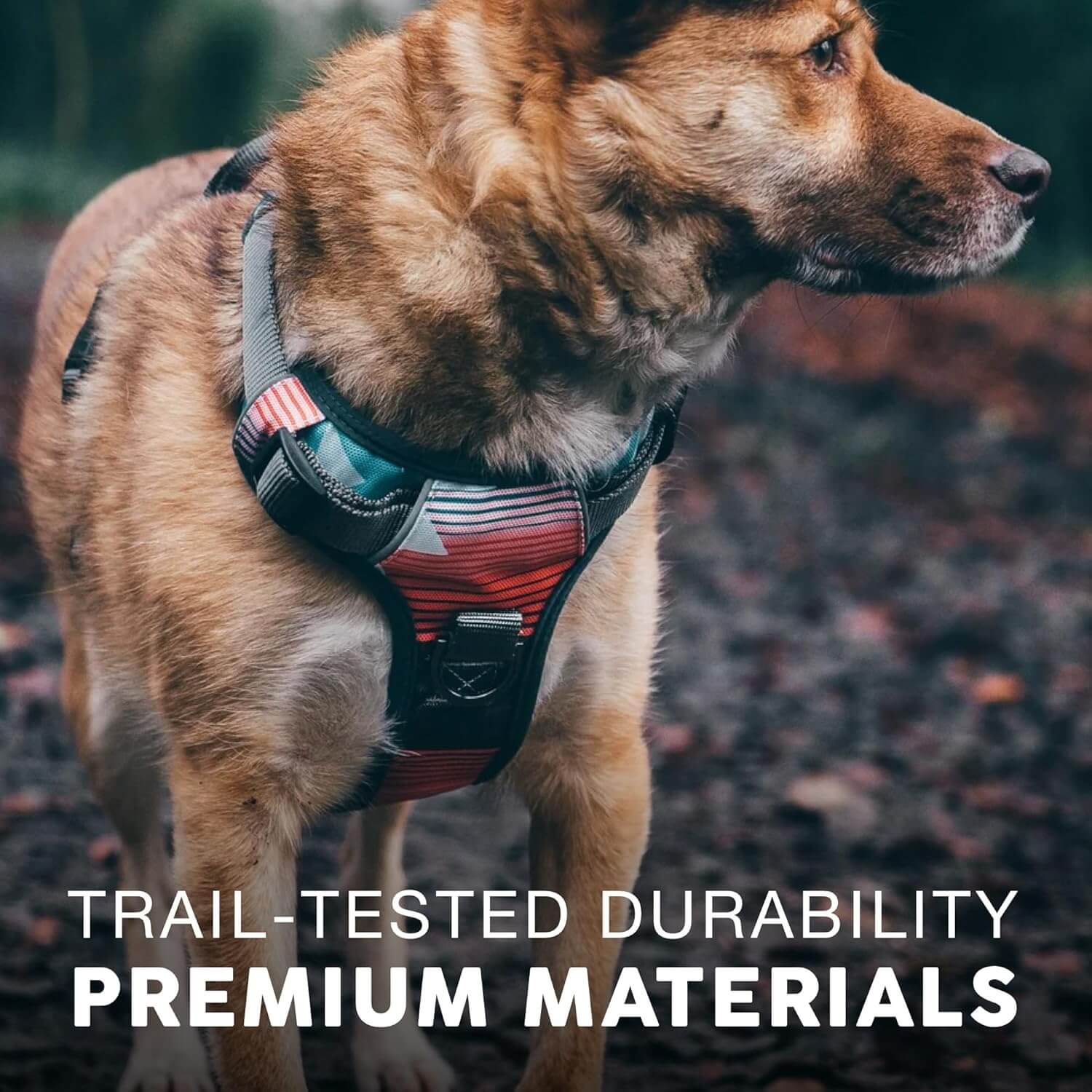 Embark Adventure Reflective No-Pull Dog Harness for Small Dogs - Military-Grade Nylon with Front Clip and Gel-Lined Handle