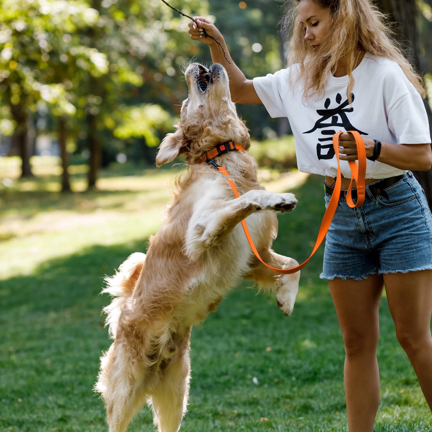 Reflective Nylon Dog Collar with Quick Release Buckle - Ideal for Active Dogs of All Sizes (10-13 Inch, Vibrant Orange)