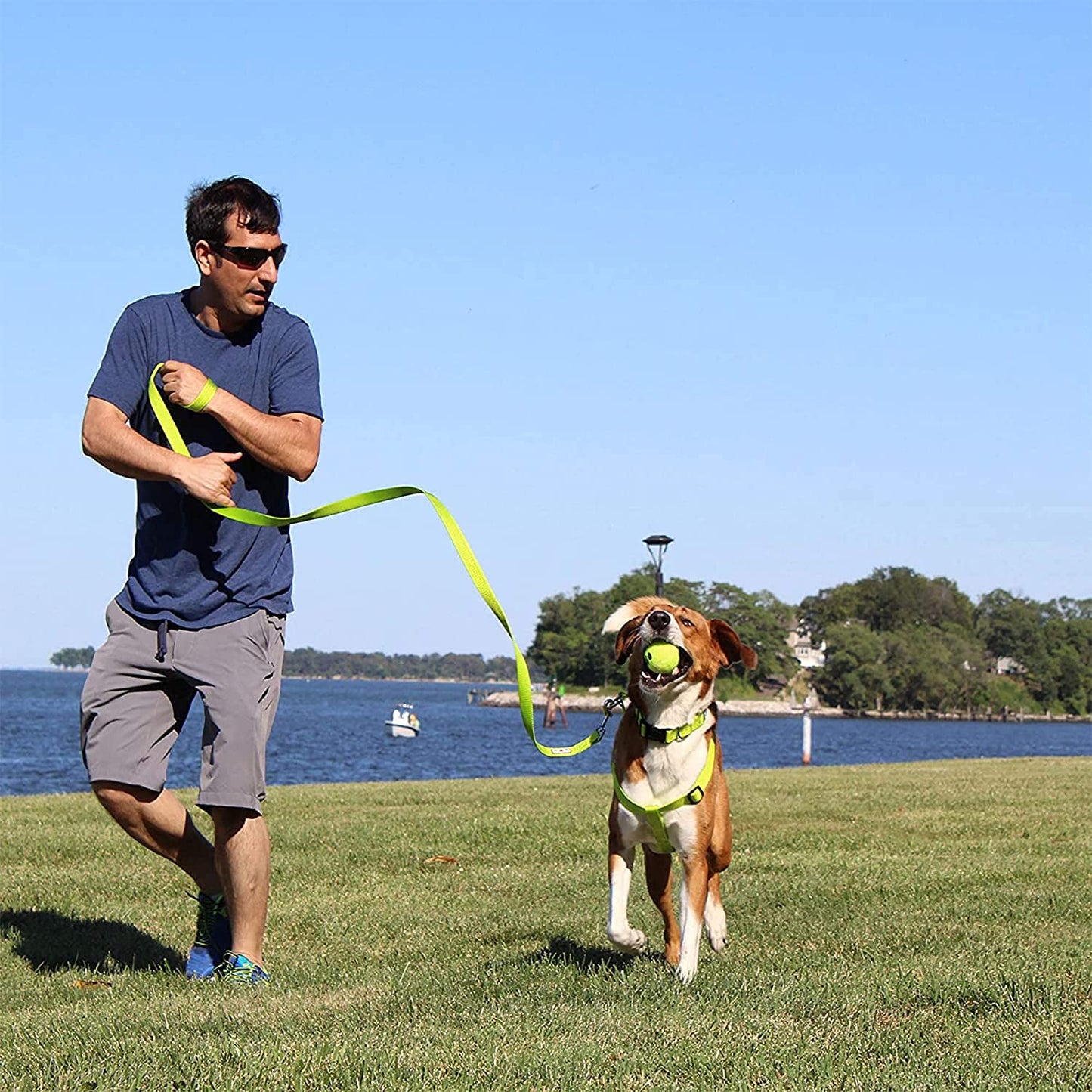 Durable Lush Green Heavy-Duty Adjustable Dog Collar for Large Breeds - Waterproof with Quick-Release Buckle