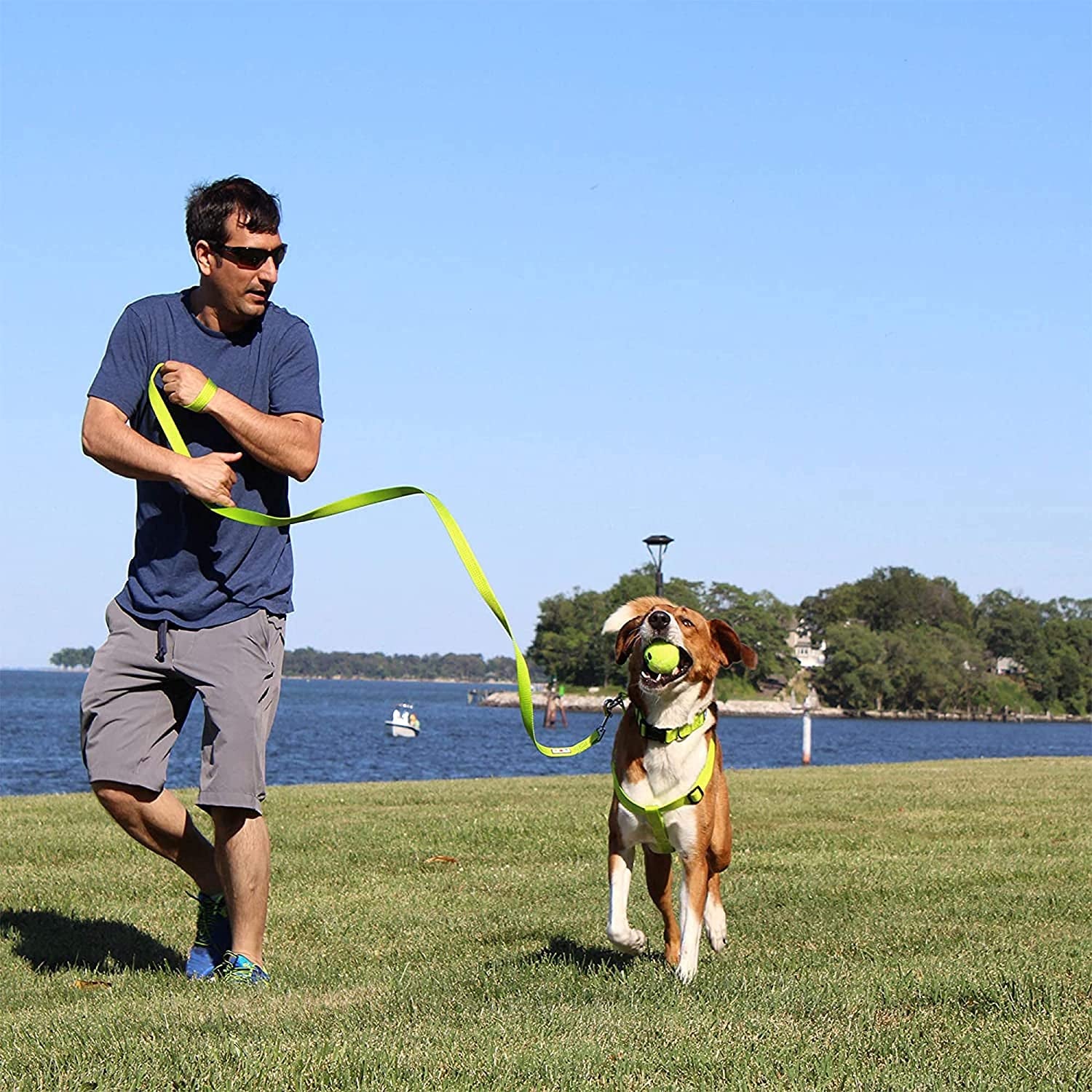 Durable Lush Green Heavy-Duty Adjustable Dog Collar for Large Breeds - Waterproof with Quick-Release Buckle