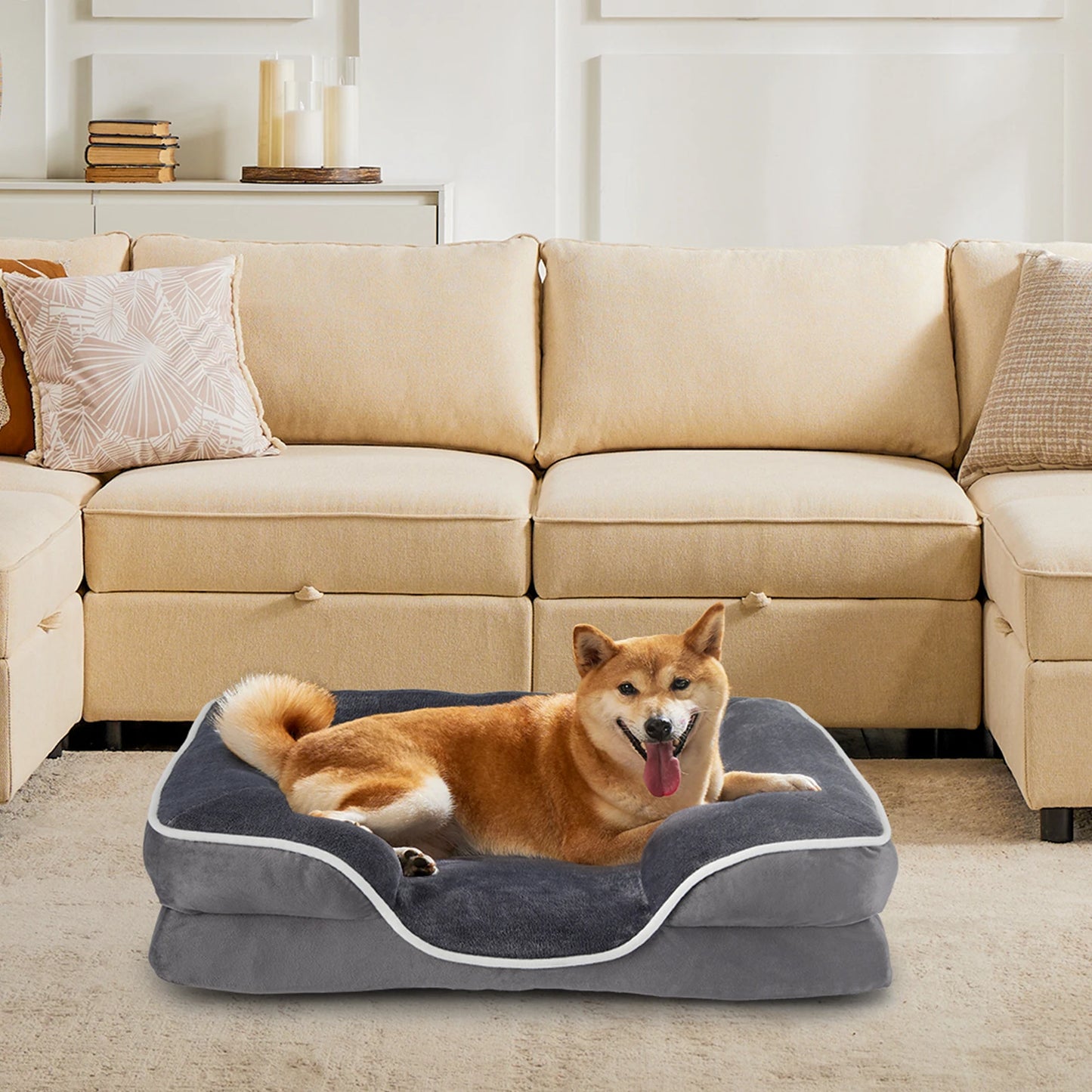 Premium Orthopedic Memory Foam Pet Bed for Small Dogs and Cats with Washable Cover, Non-Slip Base, and Waterproof Protection