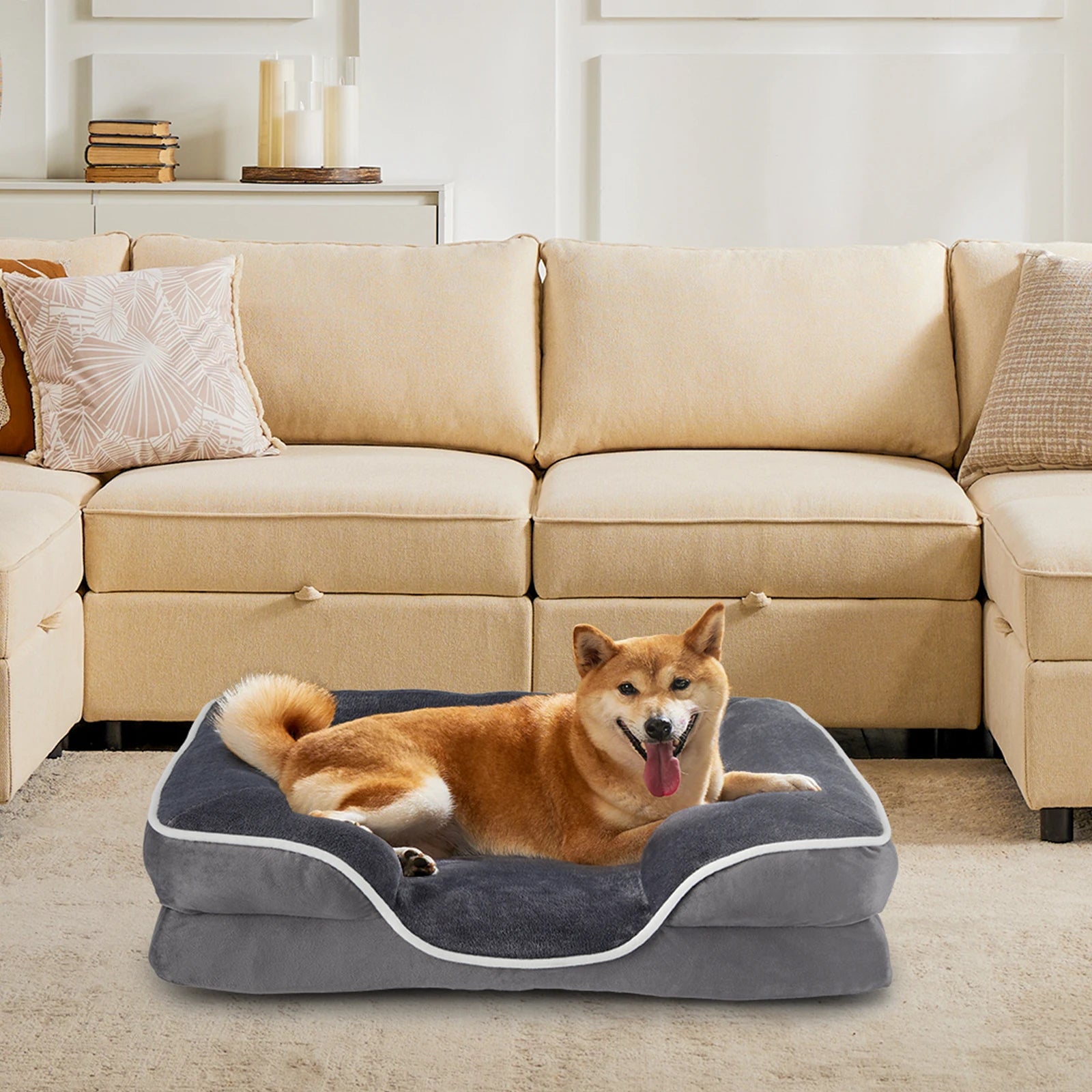 Premium Orthopedic Memory Foam Pet Bed for Small Dogs and Cats with Washable Cover, Non-Slip Base, and Waterproof Protection
