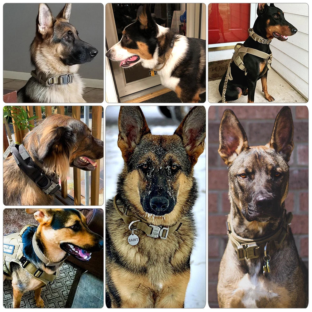 Premium Adjustable Tactical Dog Training Collar and Leash Set with Control Handle for All Dog Sizes