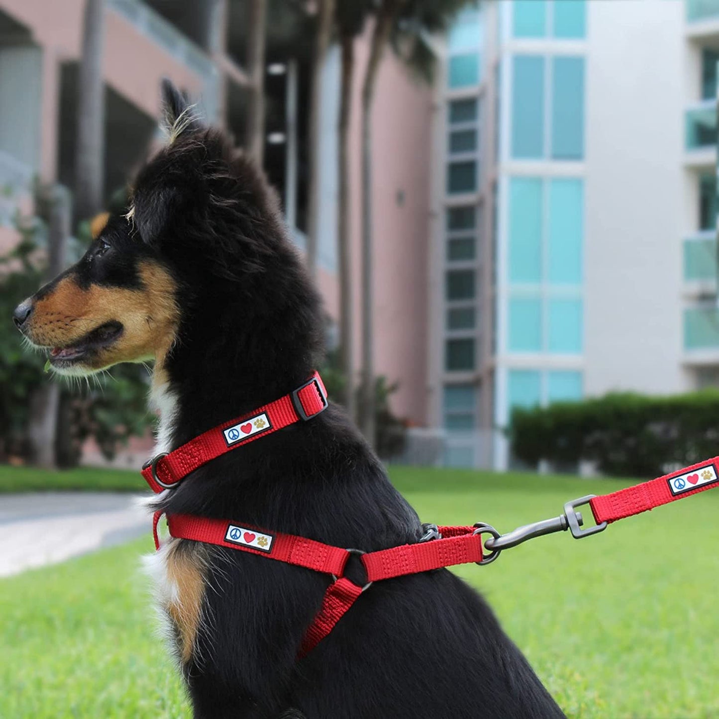 Durable Lush Green Heavy-Duty Adjustable Dog Collar for Large Breeds - Waterproof with Quick-Release Buckle
