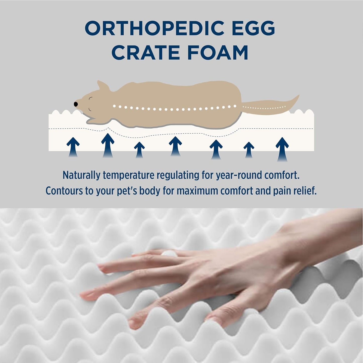 Premium Orthopedic Dog Bed for Medium Breeds - Waterproof, Removable Cover with Egg Crate Foam for Ultimate Comfort and Support