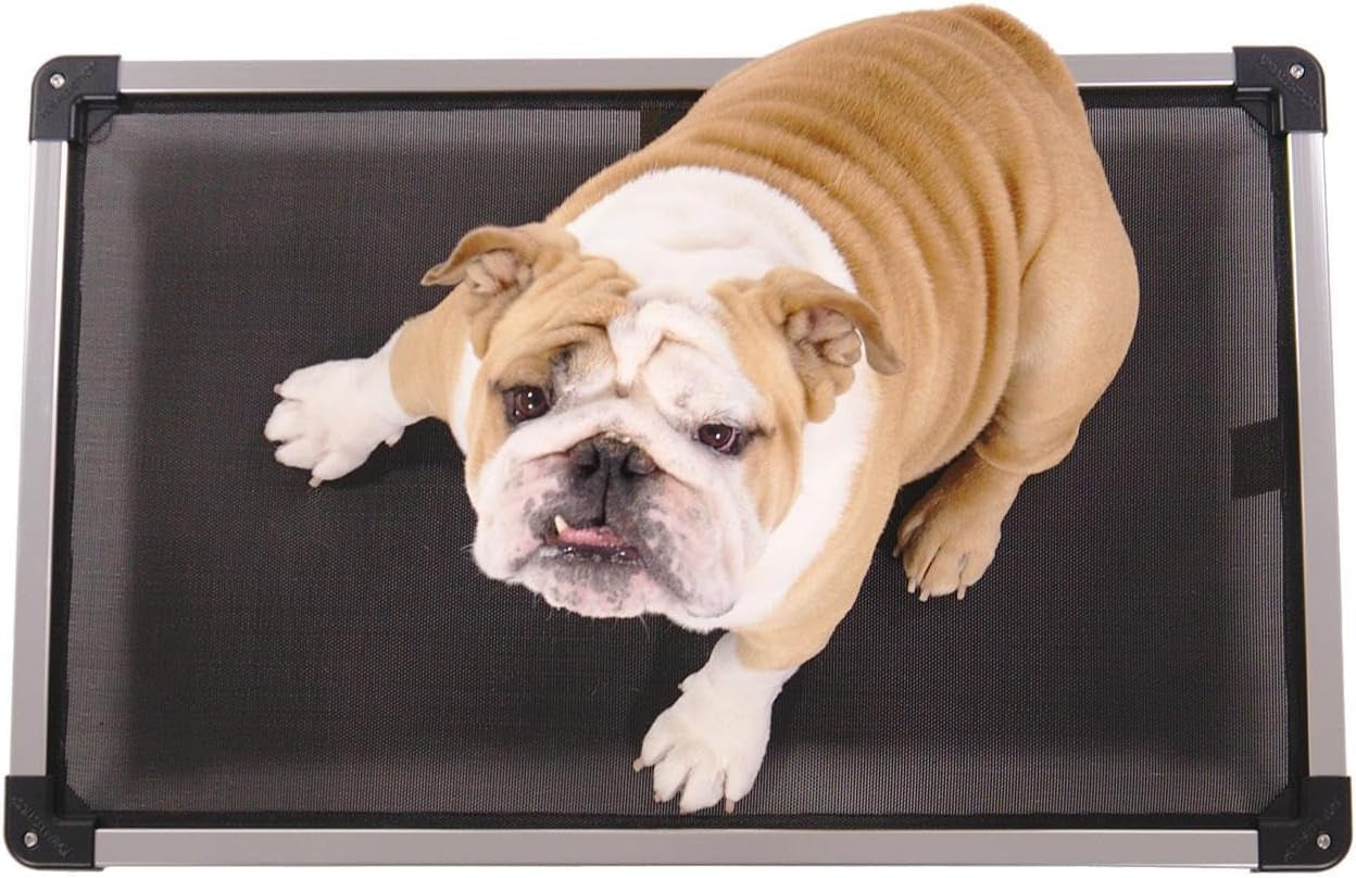 Indestructible Elevated Cooling Dog Bed for Aggressive Chewers - Pre-Assembled Small Black Mesh Design